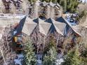 Aerial view of townhomes surrounded by trees and snow in winter at 2120 Major Anderson Dr # 2120, Georgetown, CO 80444