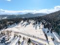Expansive snowy acreage with mature trees and mountain views under a blue sky at 8537 S Doubleheader Hwy, Morrison, CO 80465
