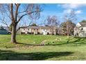 Scenic backyard with lush green lawn and natural landscaping at 3295 S Estes St, Lakewood, CO 80227