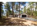 House exterior with detached garage surrounded by trees, featuring a driveway and modern design at 14546 Pine View Rd, Larkspur, CO 80118