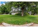 Spacious front yard with a large tree providing ample shade to the home at 1694 S Elm St, Denver, CO 80222
