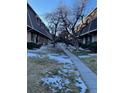 Neat and clean community walkway with landscaping and townhouses on either side at 1731 Quail St, Lakewood, CO 80215