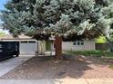 Single-story house with mature trees and a two-car garage at 5063 W Radcliff Ave, Denver, CO 80236