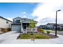 Attractive two-story home with a well-manicured front lawn and inviting covered porch at 3722 Sandy Vista Trl, Castle Rock, CO 80104
