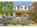View of the front entrance featuring a walkway lined with lavenders and a home with white sidings at 6709 Walker Ct, Niwot, CO 80503