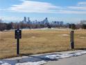 Golf course view with Denver skyline in the distance at 2730 N Columbine St, Denver, CO 80205