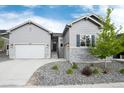 Charming home exterior featuring gray siding, stone accents, a well-manicured lawn, and a welcoming entrance at 5072 Silver Hare Ln, Castle Rock, CO 80104