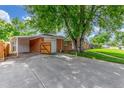 Brick home featuring an attached carport garage and large driveway with a mature shade tree providing curb appeal at 10784 Allendale Dr, Arvada, CO 80004