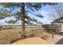 Spacious backyard featuring mature trees, a swing set, and privacy fence at 8815 W Quarto Cir, Littleton, CO 80128