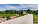 Long concrete driveway leading to a home nestled amidst green meadows and mountain views at 18376 Heavens Pl, Monument, CO 80132