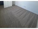 Neutral toned carpeted floor with modern trim at 2176 S Haleyville Way, Aurora, CO 80018