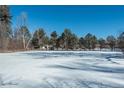 Open snowy backyard with distant trees and fence at 3750 S Ogden St, Englewood, CO 80113