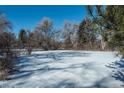 Snowy backyard with mature trees and open space at 3750 S Ogden St, Englewood, CO 80113