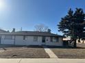 Inviting single-story home with a freshly painted exterior, mature trees, and a walkway to the front door at 4785 Estes St, Wheat Ridge, CO 80033