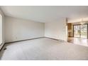 Bright living room with neutral carpet and large windows offering plenty of natural light at 10020 Bryant St, Denver, CO 80260
