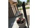 Charming front porch adorned with flower pots and a stylish metal railing at 6411 W 82Nd Dr, Arvada, CO 80003