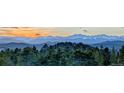 Panoramic landscape featuring snow-capped mountains in the distance, and the forest landscape in the foreground at 401 Highway 72, Golden, CO 80403