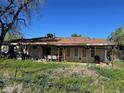 An overgrown backyard featuring a covered patio, an assortment of furniture, mature trees and a fence line at 841 S 6Th Ave, Brighton, CO 80601