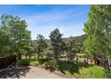 Expansive backyard view showcasing lush greenery, mature trees, and open space, offering a tranquil setting at 27124 Sun Ridge Dr, Evergreen, CO 80439