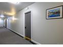 Well-lit hallway with neutral decor and access to multiple units at 1245 Columbine St # 306, Denver, CO 80206