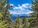 Stunning mountain view framed by mature pine trees under a blue sky with wispy clouds at 13288 Elsie Rd, Conifer, CO 80433
