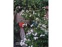 Lush landscaping featuring white flowers, terra cotta pots, and various plants, adding natural beauty at 17232 E Oberlin Pl, Aurora, CO 80013