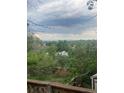 Scenic view from the property showcasing lush greenery and a cloudy sky at 14751 E 24Th Ave, Aurora, CO 80011