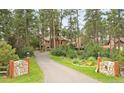 Scenic driveway leading to a home surrounded by lush trees and landscaping at 4456 Mohawk Dr, Larkspur, CO 80118