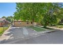 Lovely home showcasing a well-maintained lawn, mature trees providing shade, and a long driveway for ample parking at 2518 S Patton Ct, Denver, CO 80219