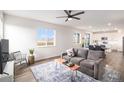 Cozy living room with a grey sofa, area rug, and large window providing natural light at 5805 Red Barn Ave, Longmont, CO 80504