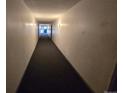 Long hallway with brown carpet and white walls at 10211 Ura Ln # 5-206, Thornton, CO 80260