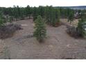Expansive land features mature trees and natural beauty, perfect for building a custom home at 1561 Arrowpoint Ct, Franktown, CO 80116