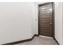 A brown apartment front door with apartment number and multiple recessed panels at 485 Interlocken Blvd # 106, Broomfield, CO 80021