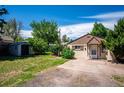 Quaint backyard featuring a shed, green lawn, and privacy trees, perfect for outdoor enjoyment and storage at 5549 S Greenwood St, Littleton, CO 80120