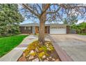 Brick home features mature trees and manicured landscape at 11157 W Marlowe Ave, Littleton, CO 80127