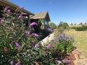 Beautiful landscape with lush purple flowers, green grass, and view of nearby houses at 7186 Weaver Cir, Castle Rock, CO 80104