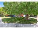 Beautifully landscaped front yard with a mature tree shading the two-story home with a driveway and blue garage at 10291 Carrara Ter, Parker, CO 80134