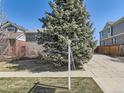 Well-maintained front yard with a mature tree, offering shade and curb appeal at 24704 E Chenango Dr, Aurora, CO 80016