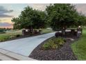 Well-maintained driveway leads to the home, lined with manicured landscaping at 5604 Singletree Ln, Parker, CO 80134