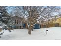 Two-story home with a large tree in the front yard at 2402 S Lewiston St, Aurora, CO 80013