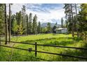Expansive grassy yard bordered by trees and a fence, offering a serene and private setting at 1194 Camp Eden Rd, Golden, CO 80403