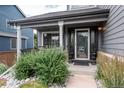 Inviting front porch with seating area, potted plants, and stylish exterior lighting at 9758 Red Oakes Dr, Highlands Ranch, CO 80126