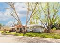 Inviting single-story home with mature trees shading the front yard, gray brick and a wooden accent at 6045 S Cook St, Centennial, CO 80121