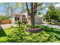 Well-manicured front yard featuring a mature tree, lush green grass, and partial view of the home's exterior at 1462 Marigold Dr, Lafayette, CO 80026