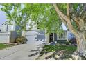 Charming two-story home with a well-manicured lawn, mature tree, and a gray two-car garage at 11303 Vernon Way, Parker, CO 80134