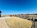 Spacious backyard with lush grass and a black metal fence, perfect for outdoor activities at 15454 W Auburn Ave, Lakewood, CO 80228