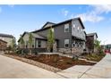 Attractive two-story home showcasing stone accents and professionally landscaped yard at 9756 Mount Kataka Pt, Littleton, CO 80125
