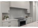 Gourmet kitchen featuring quartz countertops, stainless steel appliances, and modern cabinetry for a sleek design at 535 Josephine St, Denver, CO 80206