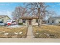 Inviting one-story home with a quaint front yard, sidewalk, and mature tree at 520 Tennyson St, Denver, CO 80204