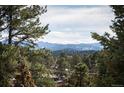 Scenic mountain and forest views through the trees at 31819 Rocky Village Dr # 208, Evergreen, CO 80439